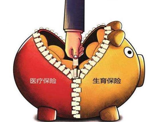 生育保险和医保合并试点启动，人社部回应5大关切