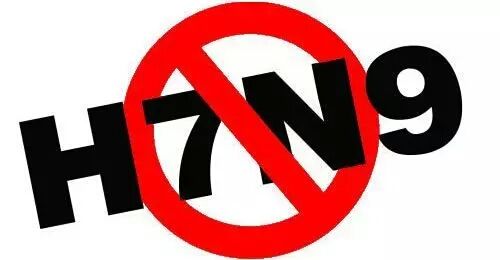 H7N9引关注 疾控专家权威解答