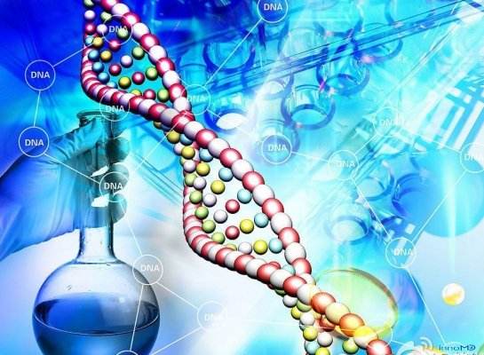 分子诊断原研整体平台简介