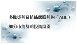 多肽类药及抗体偶联药物（ADC）细分市场战略投资展望