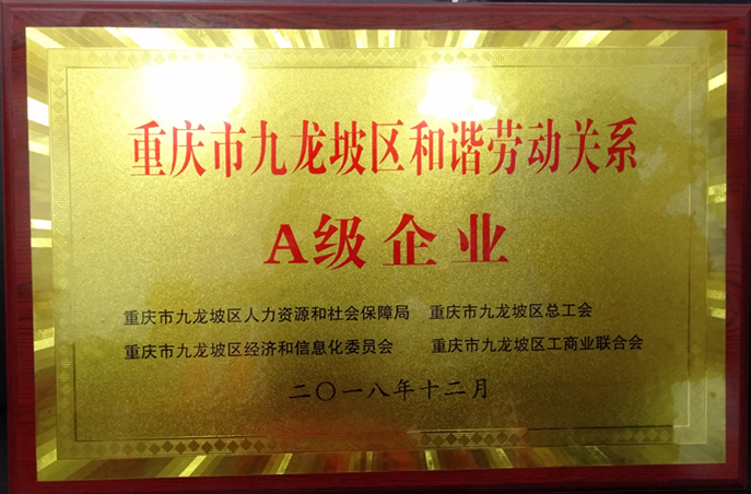 2热烈祝贺高圣医药党支部被评为“优秀党支部”.jpg