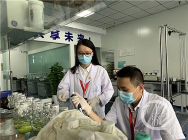 我是党员 | 查找百篇论文 研发肺癌快速诊断试剂