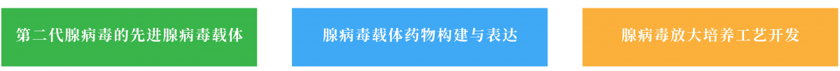 基因治疗药物开发