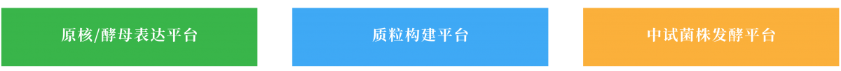 蛋白和多肽药物开发