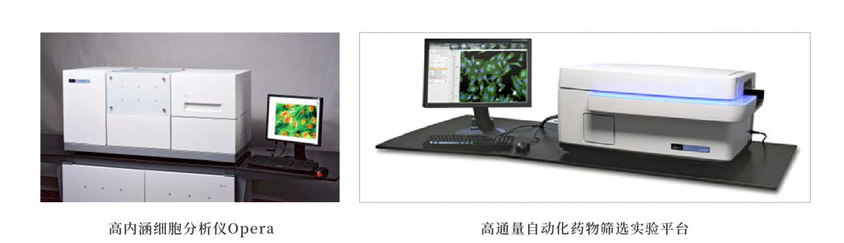 高通量高内涵药物筛选平台_画板 1 副本 5.jpg