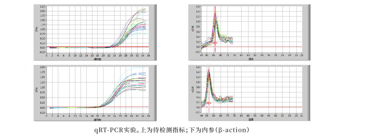 高通量高内涵药物筛选平台_画板 1 副本 6.jpg