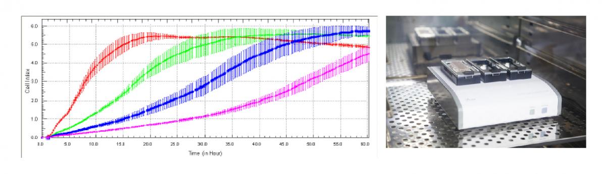 高通量高内涵药物筛选平台_画板 1 副本 7.jpg