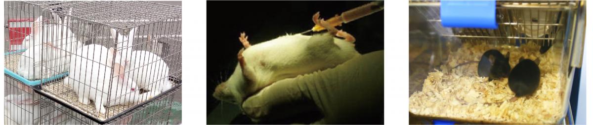 高通量高内涵药物筛选平台_画板 1 副本 8.jpg