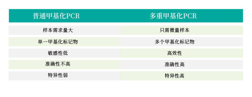动物模型_画板 1 副本 2.jpg