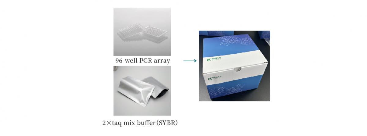 肿瘤甲基化多重PCR联检