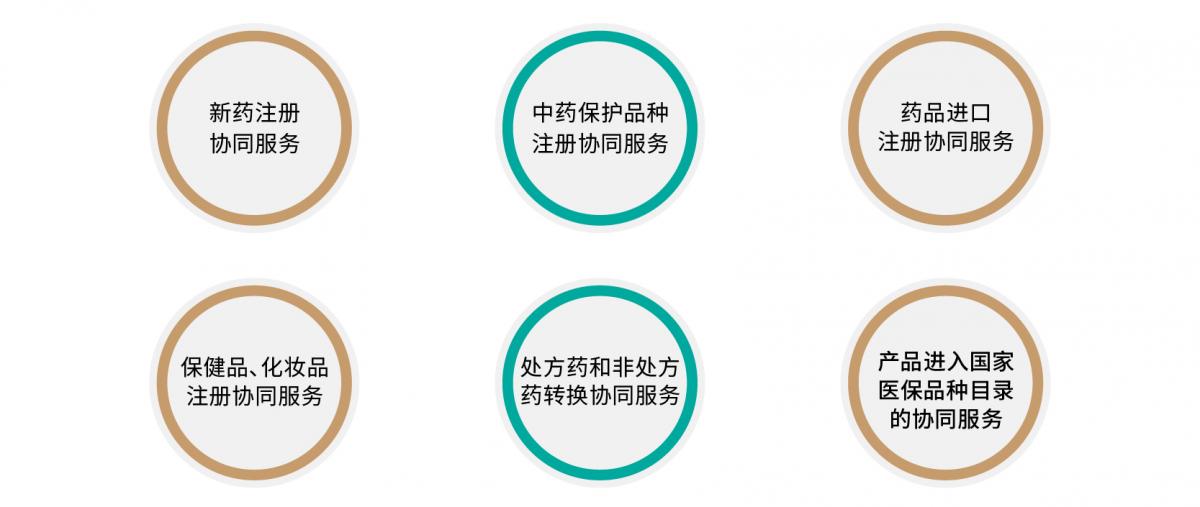 协同注册的服务内容_画板 1 副本.jpg