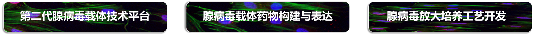 基因治疗药物开发