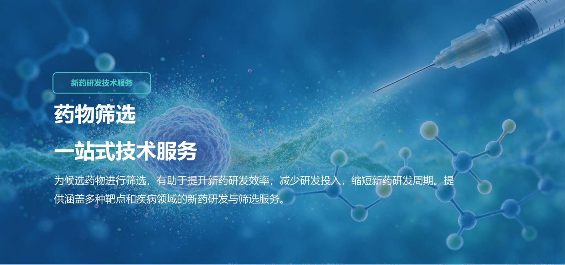 药物筛选