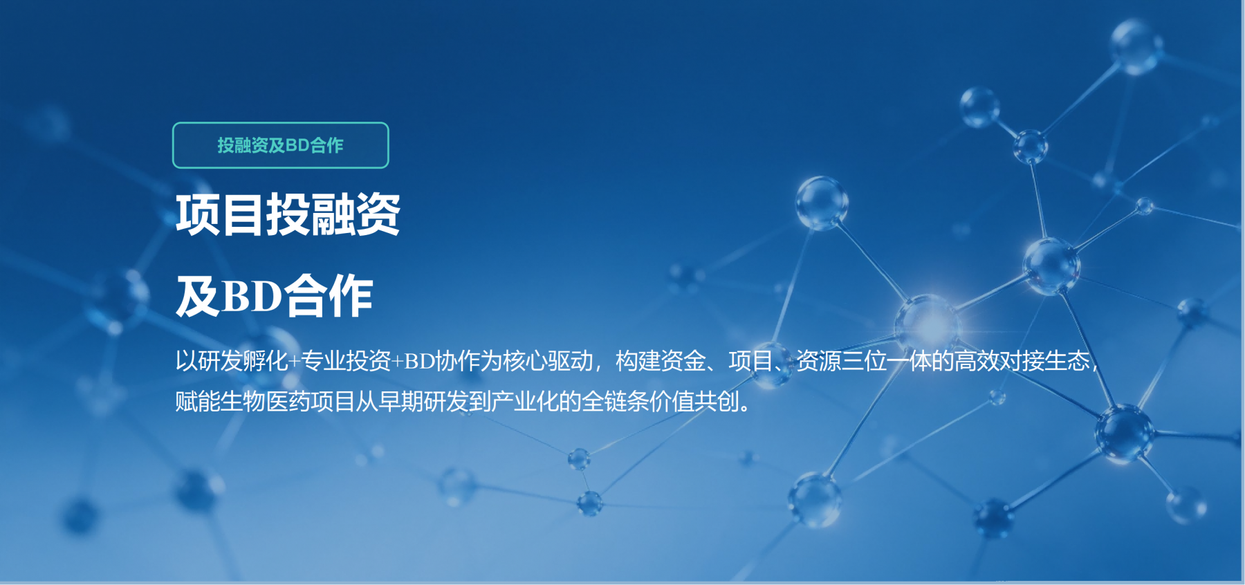 项目投融资及BD合作